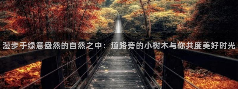 新宝gg主管