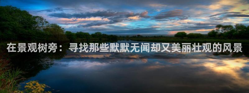 新宝gg娱乐平台