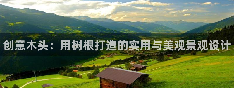 新宝GG卢355051：创意木头：用树根打造的实用与美观景观设计