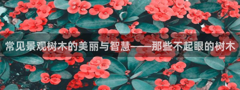 新宝gg娱乐主管q42873