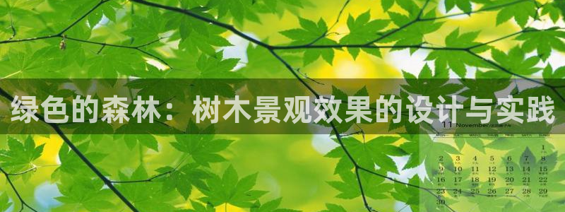 新宝gg3