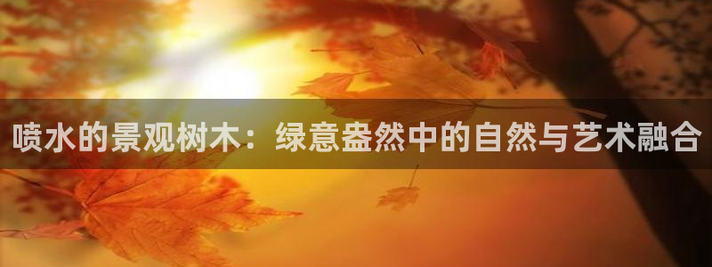 新宝gg系列