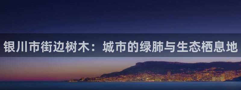 新宝gg开奖