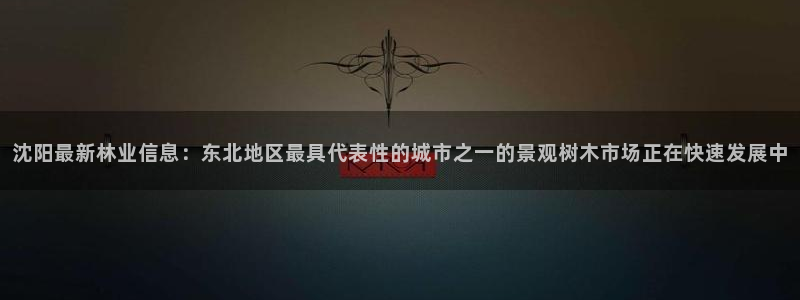 新宝gg返点1956是多少