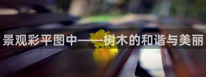 新宝gg联系