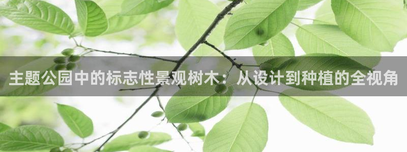 新宝gg彩票