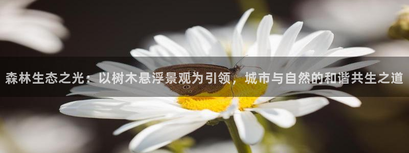 下载新宝gg