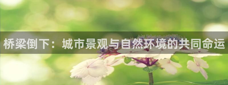 新宝gg官方