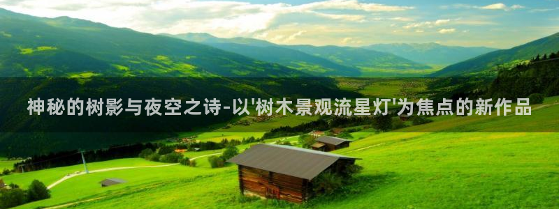 新宝gg网娱乐