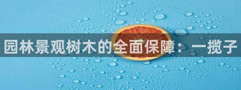 新宝gg有假吗
