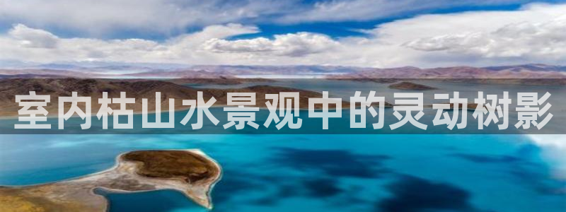新宝gg主管开