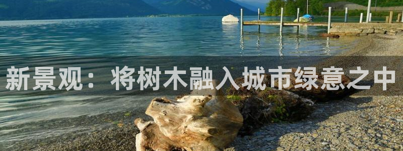 新宝gg登录页面：新景观：将树木融入城市绿意之中