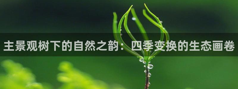 新宝gg 首页：主景观树下的自然之韵：四季变换的生态画卷